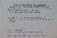 日本莢迷藏品圖，第2張