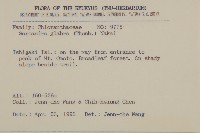 草珊瑚、紅果金粟蘭藏品圖，第2張