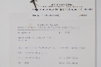 梓木草藏品圖，第2張