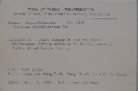 珊瑚樹藏品圖，第2張