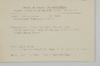 福建賽衛矛、福建假衛矛藏品圖，第2張