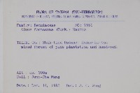 臺灣赤楊、臺灣榿木藏品圖，第2張