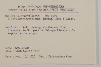 玉山蠅子草藏品圖，第2張