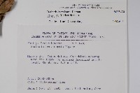 臺灣小蘗藏品圖，第2張