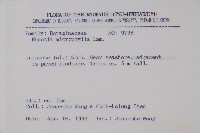 滿福木藏品圖，第2張