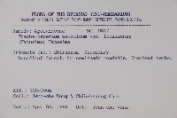 登錄號:S035464藏品圖，第2張