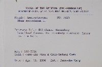 木蠟樹、山漆藏品圖，第2張