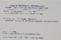 腺齒獼猴桃藏品圖，第2張