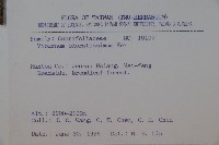 珊瑚樹藏品圖，第2張