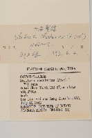 興安繁縷藏品圖，第3張