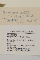 衛矛藏品圖，第3張