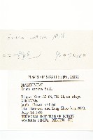 芝麻菜藏品圖，第3張