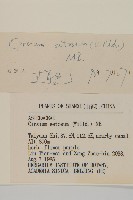 大刺兒菜藏品圖，第3張