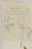 石生蠅子草、山女婁菜藏品圖，第2張