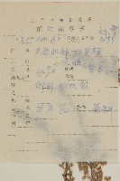 寬裂葉蒿藏品圖，第2張