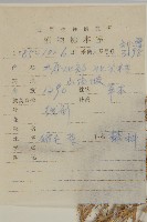 豬毛菜藏品圖，第2張