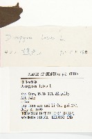 黑棗、君遷子藏品圖，第3張