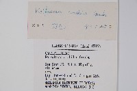 蝟實藏品圖，第2張