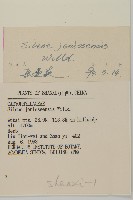 山螞蚱藏品圖，第3張