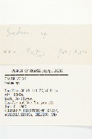 登錄號:S035770藏品圖，第3張