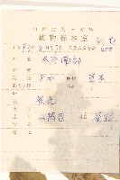 苦滇菜、苦菜藏品圖，第2張