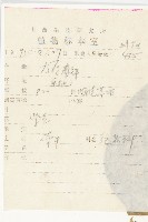 圓葉牽牛藏品圖，第2張