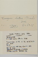 衛矛藏品圖，第3張