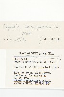 薺藏品圖，第3張