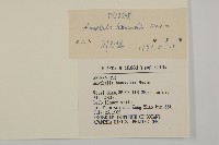 零零香藏品圖，第3張