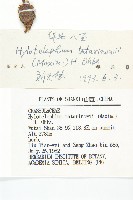 華北景天藏品圖，第3張