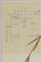 瞿麥藏品圖，第2張