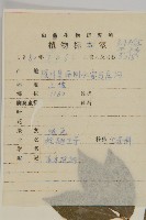 衛矛藏品圖，第2張