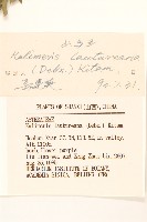 山馬蘭藏品圖，第3張