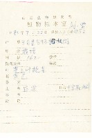 大白菜、結球白菜、卷心白藏品圖，第2張