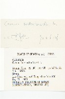 沙棶藏品圖，第3張