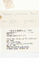 山俞菜藏品圖，第3張