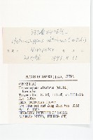 阿爾泰狗哇花藏品圖，第3張