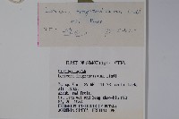 四月紅藏品圖，第2張