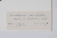 太白山五加藏品圖，第2張