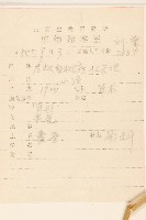 狹苞橐吾藏品圖，第2張