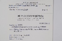 臺灣馬藍藏品圖，第2張