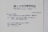 臺灣赤楊、臺灣榿木藏品圖，第2張