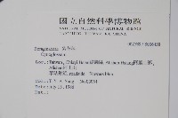 登錄號:S036458藏品圖，第2張