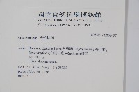 登錄號:S036497藏品圖，第2張