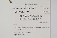 青葙藏品圖，第2張