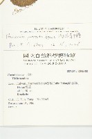 斑花青牛膽藏品圖，第2張