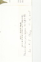 斑花青牛膽藏品圖，第2張