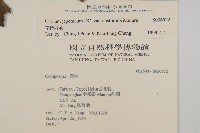 南國小薊藏品圖，第2張