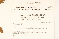 白頂飛蓬藏品圖，第2張