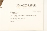 登錄號:S036541藏品圖，第2張